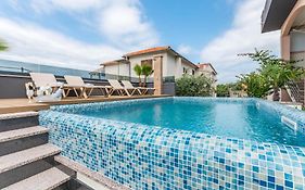 Top View Biograd